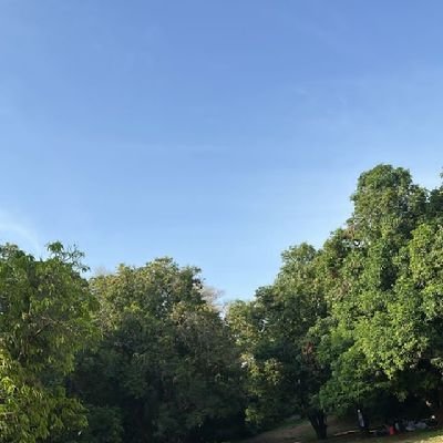 Hadibad535's profile picture. 🇸🇩 Sudanese 😎