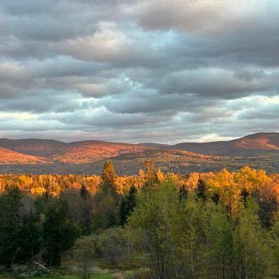 LynneMason63's profile picture. 