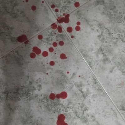 08hyperdontia's profile picture. https://t.co/agsWmO9gjD