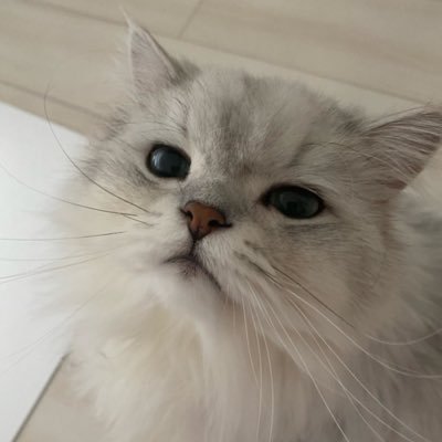 khrxnj5's profile picture. 당분간 우울증 걸린 계정