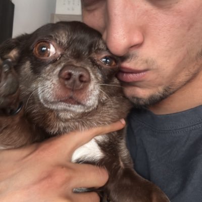 estenooeste's profile picture. Hola me llamo West y soy un poco perro!