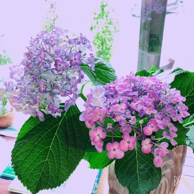 chyama06's profile picture. 