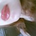 ruh hastası (@sinirli1bayan) Twitter profile photo ruh hastası (@sinirli1bayan) Twitter profile photo