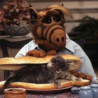 ts_tomek's profile picture. React | React Native developer | $DEGEN - @degentokenbase