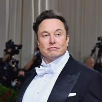 MUSK (@wang98284612) 's Twitter Profile