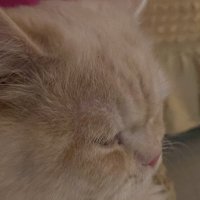 ⛏️ (@minengaram) Twitter profile photo