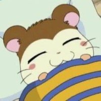 째🌻 (@clover__03) 's Twitter Profile