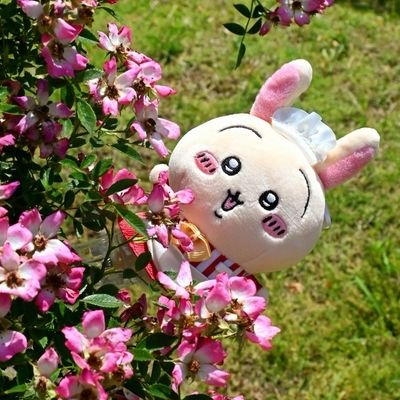 _FolliA__'s profile picture. 