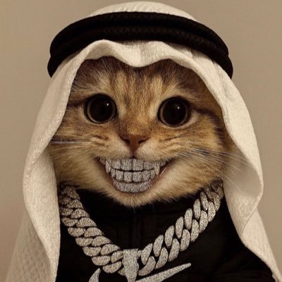 aceparody01's profile picture. Success matters