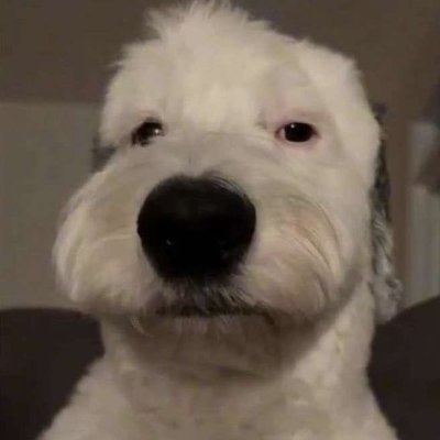 Justin65408469's profile picture. 