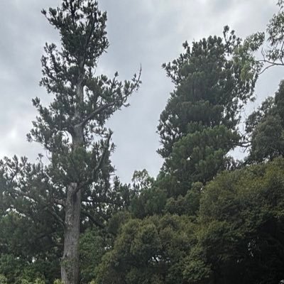 so00__su's profile picture. 