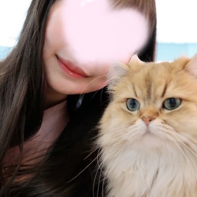 Otowa_Miyuki's profile picture. 福岡(中洲)♡老舗高級🛁博多ブルーシャトー 音羽美優紀です￤福岡生まれ￤お気軽に(女の子さんも❤︎)💌送ってください❤︎ Love❤︎カメラ📸(勉強中)￤猫🐱￤温泉♨️￤岩盤浴￤食べること(🍖肉・🍣お魚…etc)￤👗洋服 ￤📢💌からのお約束も受付中です♩※アイコンの猫▶︎猫カフェの🐱猫ちゃんです♡