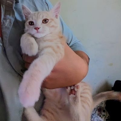 Sady_khan69's profile picture. Certified Racist