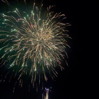 yz56537's profile picture. 