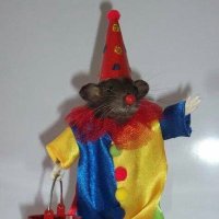 기소침 (@chonseuleon) 's Twitter Profile Photo