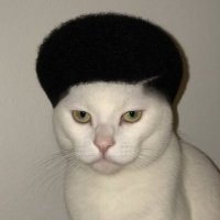 Altcoin Ahmed (@altcoinahmed) 's Twitter Profile