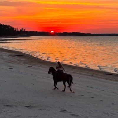 #CrazyASpur I retweet Catholic and cowboy stuff, occasionally posting my horses and hot takes. 🇻🇦🐴