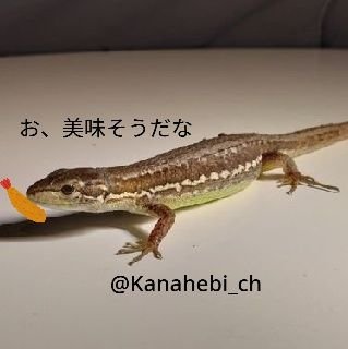 生き物、防災無線系などが好きです!
所有
TOA ML-1000
TOA MC-1030
TOA TA-1030
Victor .........
※変なアカウントは即ブロックします。