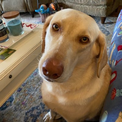 GarretsonJane's profile picture. A HUGE heart