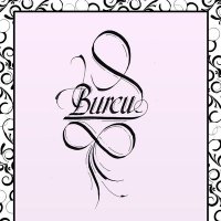 BURCU ÇAYIROĞLU (@bcayiroglu59541) 's Twitter Profile