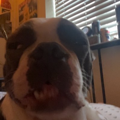 Sydknee01's profile picture. dad rock and horror movie connoisseur