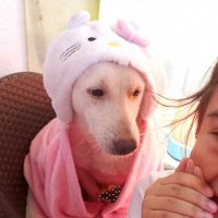🍀al3eszA🍀 (@luckyfoe08) 's Twitter Profile Photo 🍀al3eszA🍀 (@luckyfoe08) 's Twitter Profile Photo