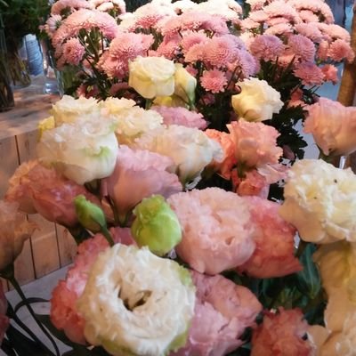 ririka_rin_rin's profile picture. ミュージカルと宝塚
感想を読むのが好きな基本ROM垢