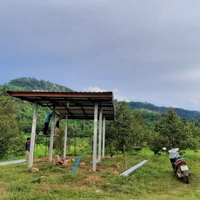 YangLitr93531's profile picture. 