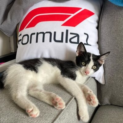 SimplyL0velyyyy's profile picture. Box Box