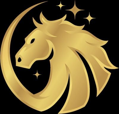 SGlobalLLC's profile picture. Limited Liability Company