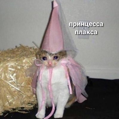 ребёнок-уебенок•она/её•softcore🌸•INFP-T•Дизайню сайты и мобилки📱•жена @loo__koshko💖•HRT 10.09.25