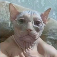 cascarrabiasputero (@cascarrabiasfcb) 's Twitter Profile