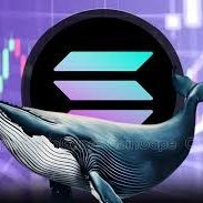 The SOL WHALES (@andrej07457591) 's Twitter Profile