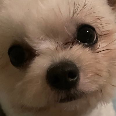 8sborres's profile picture. 