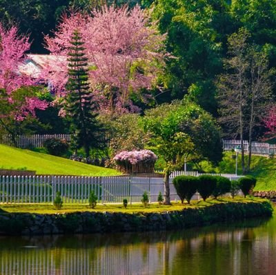 Sid0782's profile picture. 