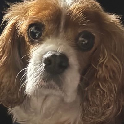 wassup_witit4's profile picture. 