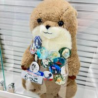 ピーチャン@ふあん民 (@djdupk66146) 's Twitter Profile