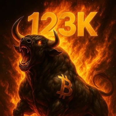 I am an Algorithm SW Engineer. My posts are not financial advice, DYOR. Opinions are mine.