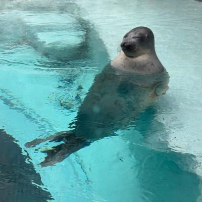 hanadanomiki's profile picture. 人生はぢｧがぃも🥔No matter what anyone says, I’m a mother of two🤱