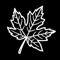 Salty (@saltandmaple) 's Twitter Profile