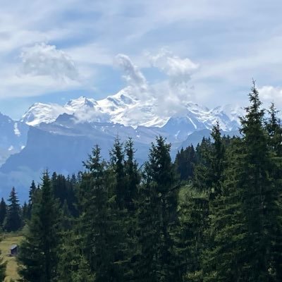 Telfor9's profile picture. 