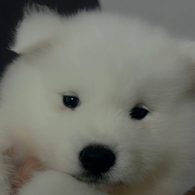 kkjnq_dy's profile picture. 静かな午後、植物と小さな幸せに包まれて☕🌿