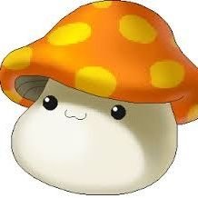 irooouuuu123's profile picture. 저 디엠창 열려있어요