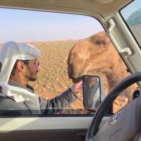 العصيمي (@rrr1k1) 's Twitter Profile Photo