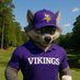 THE Vikings Idiot (@vikingsidiot) Twitter profile photo THE Vikings Idiot (@vikingsidiot) Twitter profile photo
