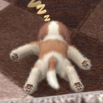 masiddaing's profile picture. 구독합니다