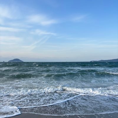 correct__city's profile picture. 