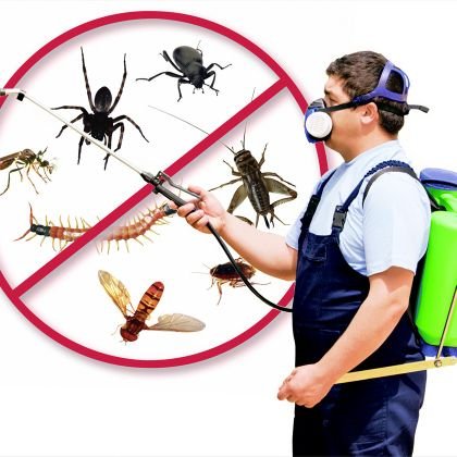 متخصصون في مكافحة الصراصير المنزلية بضمان 12شهر
متخصصون مكافحة النمل الأبيض بافضل مبيدات بضمان
متخصصون مكافحة البق الفراش مع الضمان 12 شهر
بجدة 0554852825 📞