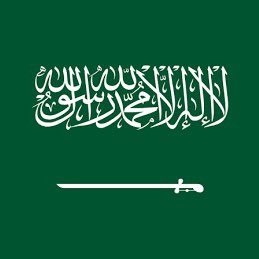 King Saud University English Language Student💚