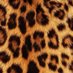 kitty2pretty (@cutiemamix) Twitter profile photo kitty2pretty (@cutiemamix) Twitter profile photo